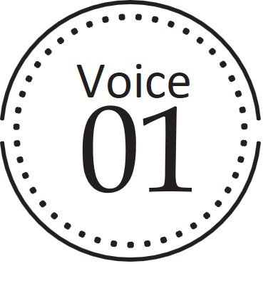 Voice 01