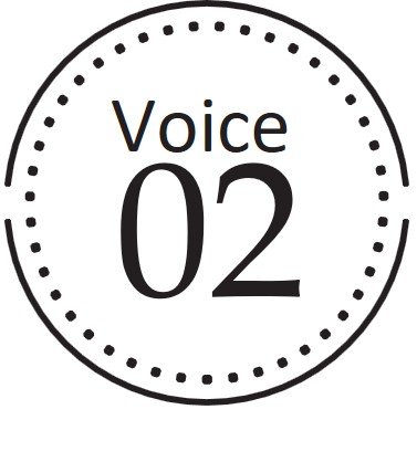 Voice 02
