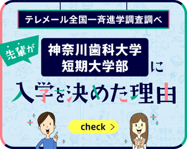 先輩が入学を決めた理由