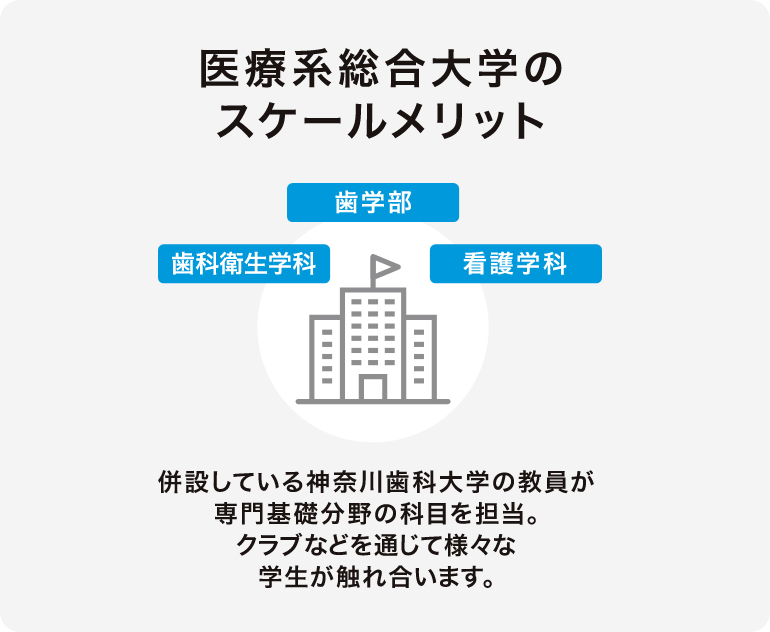 医療系総合大学のスケールメリット 歯学部・歯科衛生学科・看護学科の交流